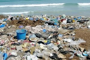 Çevre Kirliliği Karadeniz i Bitiriyor