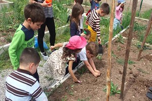 Minikler Sebze Yetiştiriciliği Kurslarını Ziyaret Etti