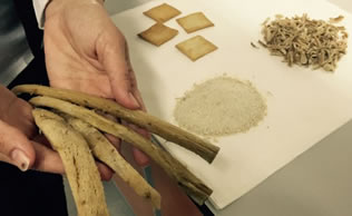 Bitki Kökünden Diyet Lif İçeriği Zengin Un Ürettiler