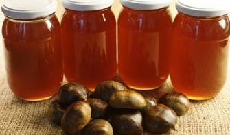 Kestane Balı Karadeniz in Altın Yumurtlayan Tavuğudur