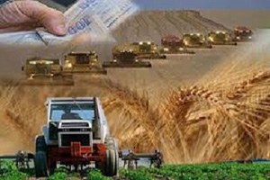 Ladik`e Kırsal Kalkınma Desteği