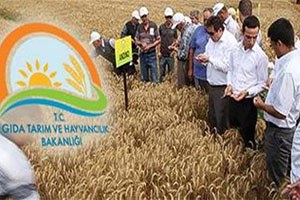 Urfa ya 56 Mühendis İle 25 Veteriner Alınacak