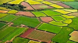 Haritacılık Verileri Olmazsa Tarım Durur