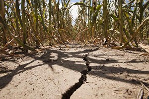Kuraklıkla Yaşamaya Alışmamız Gerekiyor