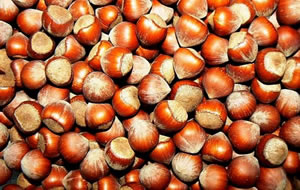 Fındık Üreticisine Fiyat Şoku