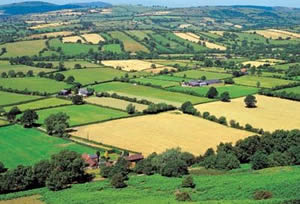 12 Taksitle Tarım Arazisi