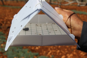 Gaziantep Fıstık Yetiştiricileri İçin Feromon Tuzak Devri Başlıyor