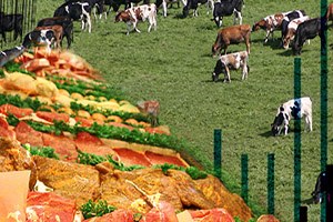 2015 Yılı Bitkisel Ürün İstatistikleri Açıklandı