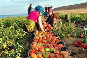 Genç Çiftçilere 30 Bin Lira Hibe Desteği