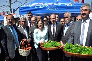 Oğuzeli nde Çiftçilere 400 Bin Domates ve Biber Fidesi Dağıtıldı