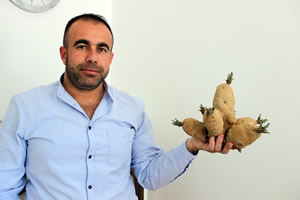 Kaktüs Görünümlü Patates İlgi Çekiyor