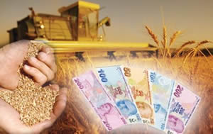 Van da 2015 Yılı Yem Bitkileri Destekleme Ödemeleri Başladı