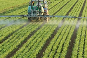 Bitkisel Üretime Destekte Süre Düzenlemesi