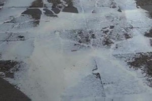 KKTC li Hayvan Üreticilerinden Sütlü Eylem