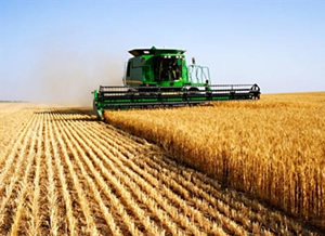 Tarımsal Hasılada Hedef 150 Milyar Dolar