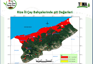 Türkiye nin Toprakları Adım Adım Böyle Zehirleniyor