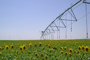 Bireysel Sulama Sistemleri İçin Destek Başvuruları Başlıyor