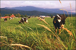 Çiftçilere Yönelik Kurs İçin Protokol İmzalandı