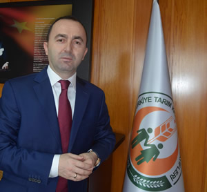 Dondan Zarar Gören Fındıkta Henüz Hasar Tespiti Yapılmadı