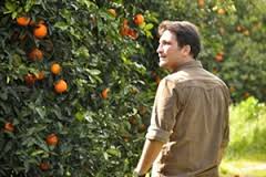 Genç Çiftçiye 30 Bin Lira Hibe Desteği İçin Başvurular 11 Nisan da