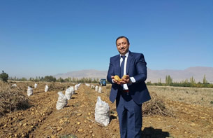 Patates Enstitüsü ne Staj Başvuruları Başladı