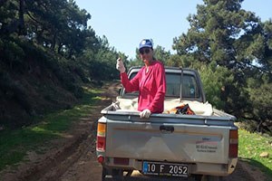 Burhaniye de Yaban Hayvanlarına Kuduz Aşısı