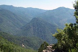 Kazdağları na İlk Hançer Saplanıyor