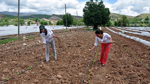 Mardinli İki Kız Kardeş Tunceli ye Sera Kurdu