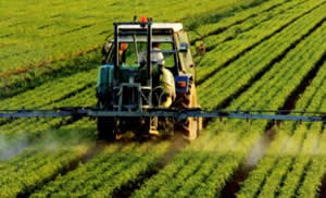 Tarımda Üretici Ve Yatırımcıya Destek