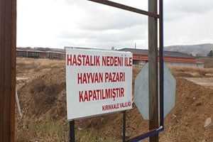 Kırıkkale de Hayvan Pazarı Yeniden Kapatıldı