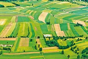 Tarım Arazilerinin Vergisiz Miras Yoluyla Paylaşımı