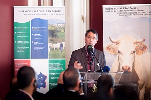 Türkiye Canlı Sığır İhracatında Fransa nın Üçüncü Büyük Pazarı