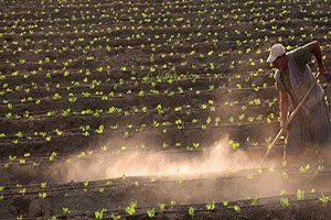 Türkiye de Tarımı 5 4 Milyon Kişi Sırtlıyor