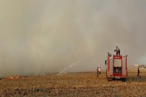 Çevrecilerden Anız Yangınlarına Çözüm Önerileri