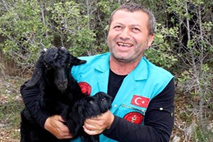 Lisinia da Keçi Projesi Başlatıldı