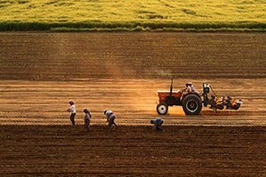 Tarımda Üretici Fiyatları Nisan da Da Geriledi
