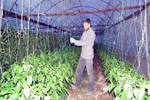 Aydın da 26 Çeşit Ürünün Yetiştiği Bir Tarım Kenti