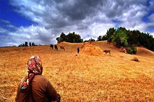 Fransa dan Kadın Çiftçilere Destek