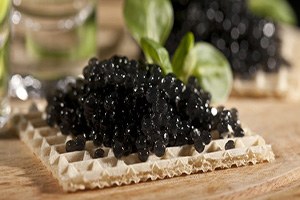 Konya dan 15 Ülkeye Deniz Ürünleri İhraç Ediyor