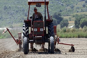 Antalya da 42 Bin Dekar Alana Pamuk Ekildi