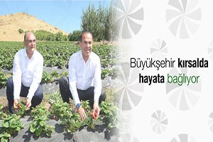 Büyükşehir Kırsalda Hayata Bağlıyor