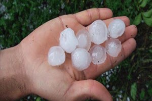 Doludan Zarar Gören Çiftçilerin Borçları Ertelensin Talebi