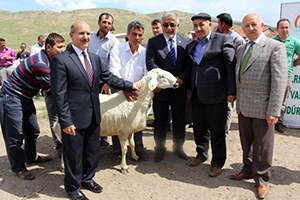 Çankırı lı Çiftçilere Koç lu Destek