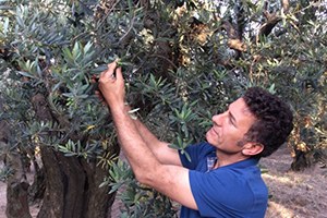 Çiftçiye Verilecek Tarım Destekleri Yeterli Değil