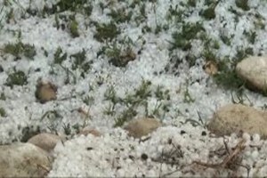 Dolu Tarım Alanlarına Zarar Verdi