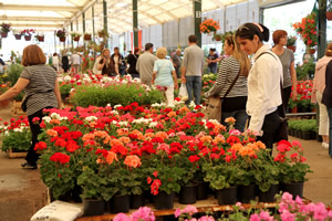 Karşıyaka da Çiçek Kokacak Festival