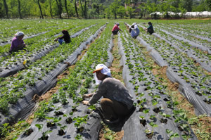 KKYDP Ekonomik Yatırımlar İçin Süre 3 Ekim e Kadar Uzatıldı