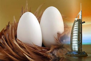 Suudi Arabistan Süt Ve Yumurta İthal Edecek