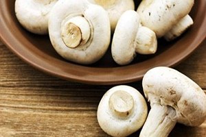 Bayburt ta 8 Kilogramlık Mantar Bulundu