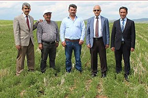 Toprak İşlemesiz Tarım Tuttu